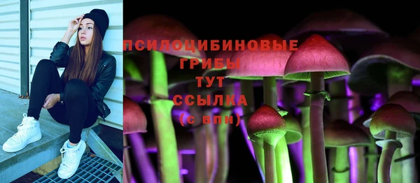 не бодяженный Арсеньев