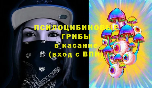 не бодяженный Арсеньев