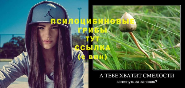 не бодяженный Армянск