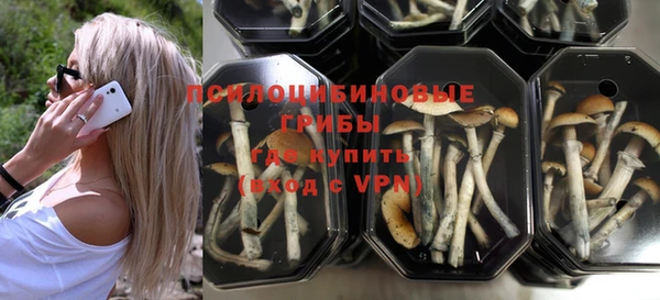 тгк Аркадак