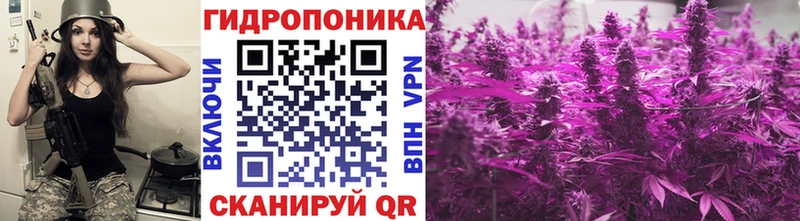Бошки марихуана Amnesia  ссылка на мегу зеркало  Красный Кут 